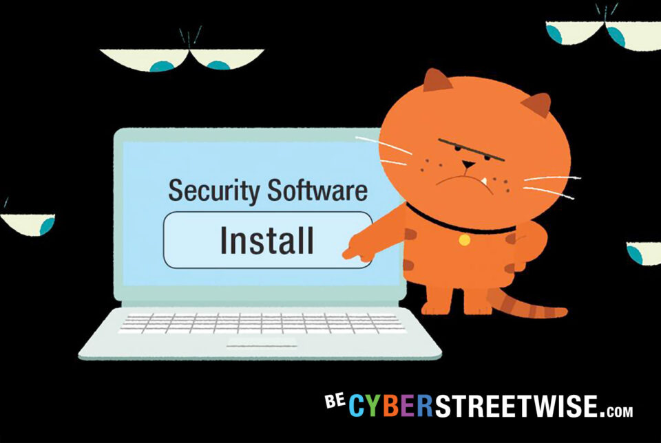 Cyber Streetwise Security Software