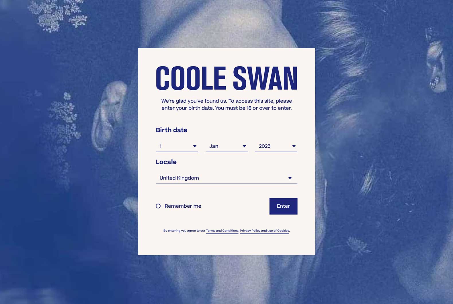 Coole swan feature